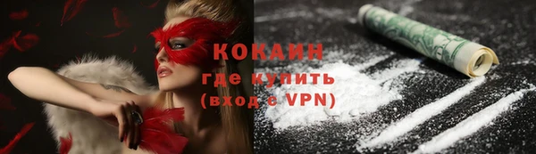 прущие грибы Баксан