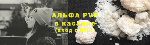 прущие грибы Баксан