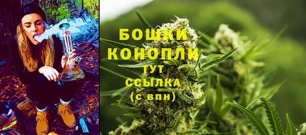 гидропоника Семикаракорск