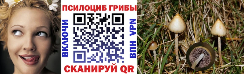 Галлюциногенные грибы GOLDEN TEACHER Карасук